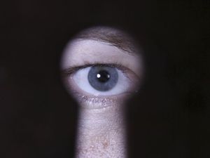 PeepingTomResize_fct523x392x261.0x10.0_ct300x225